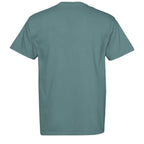 ICE BLUE - C1717 - BACK