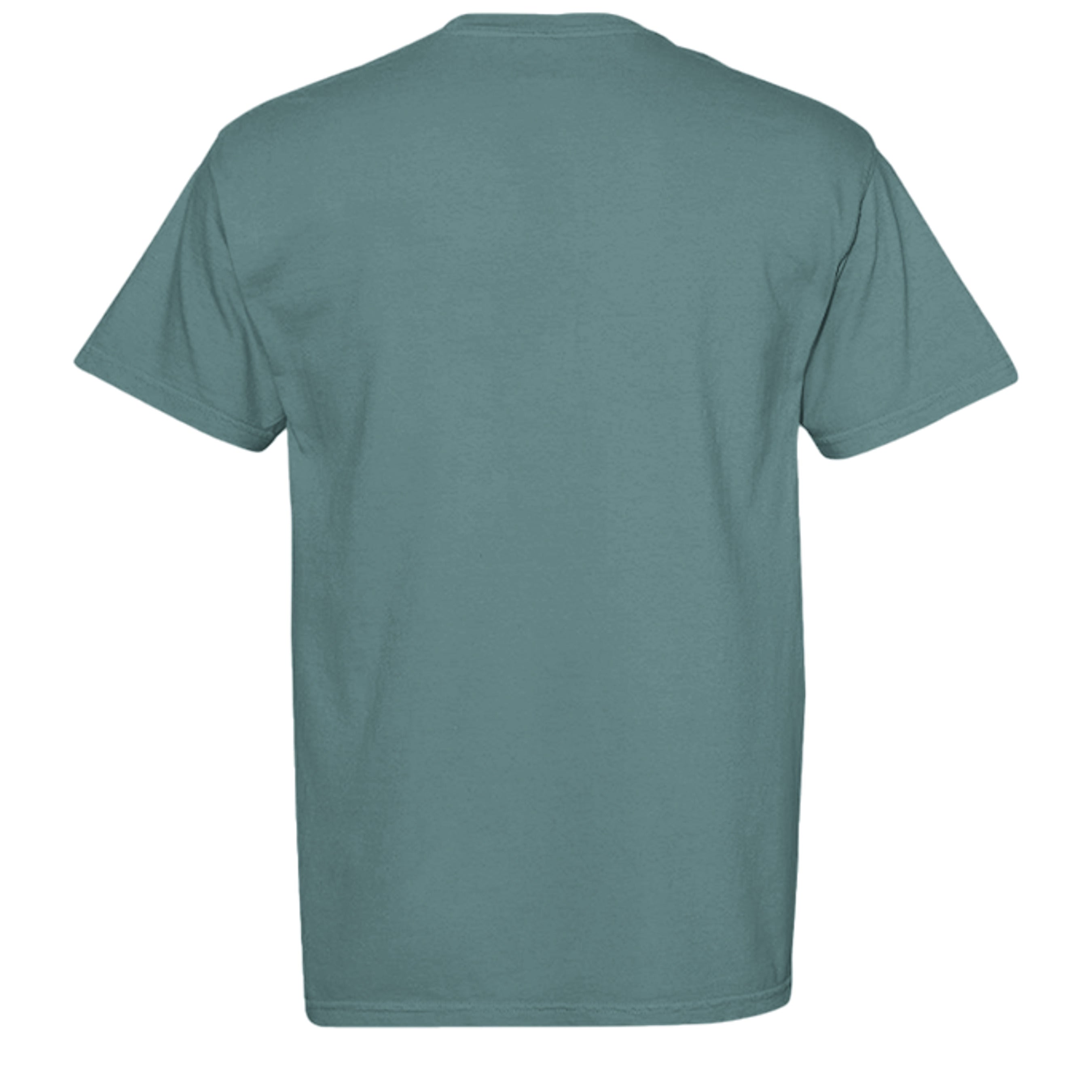 ICE BLUE - C1717 - BACK